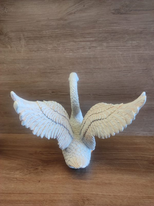 Duck - Image 3