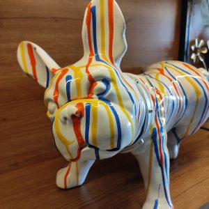 Atrangi Dog