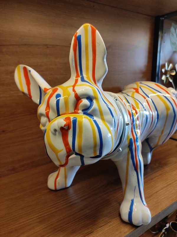 Atrangi Dog
