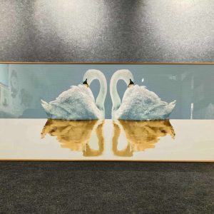 Swan Couple