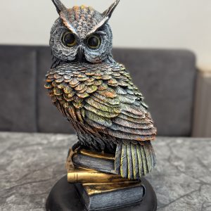 Book Owl