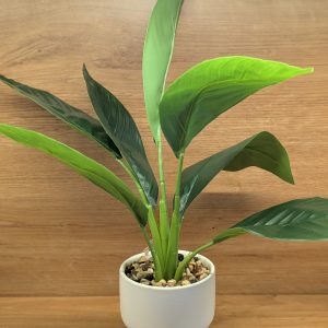Artificial Plant