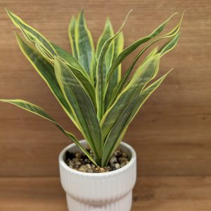 Artificial Snake Plant