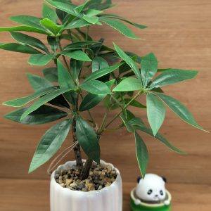 Artificial Money Tree Plant