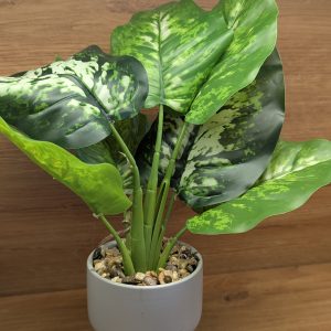 Artificial Dumb Canes Plant